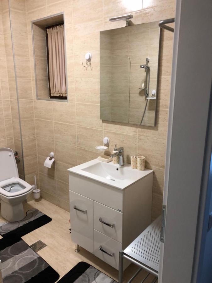 Piatra Neamţ Aleria De Piatraアパートホテル エクステリア 写真